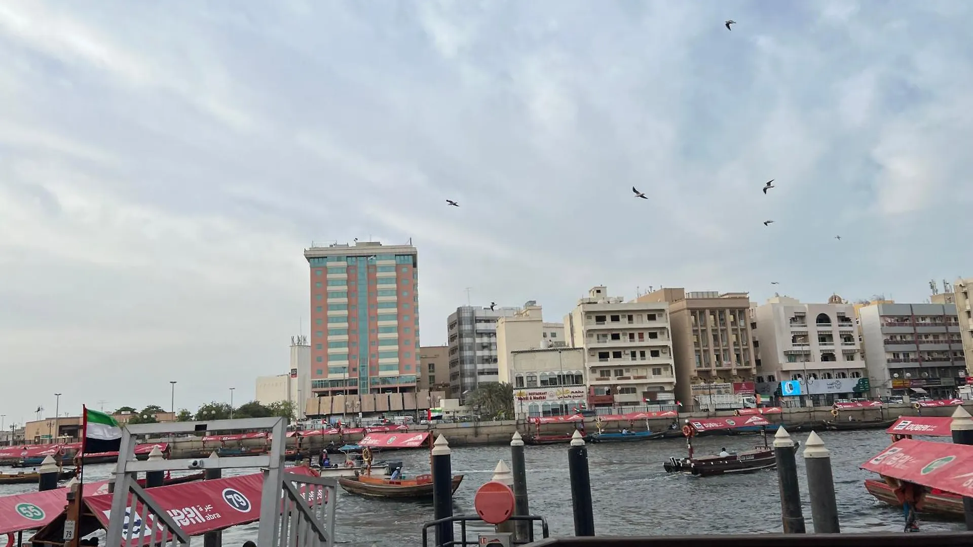 Apartament Robin House Dubai Mix Dormitory